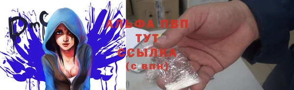 PSILOCYBIN Беломорск