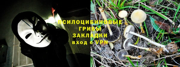 PSILOCYBIN Беломорск