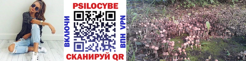 Галлюциногенные грибы Psilocybine cubensis  Железногорск-Илимский 